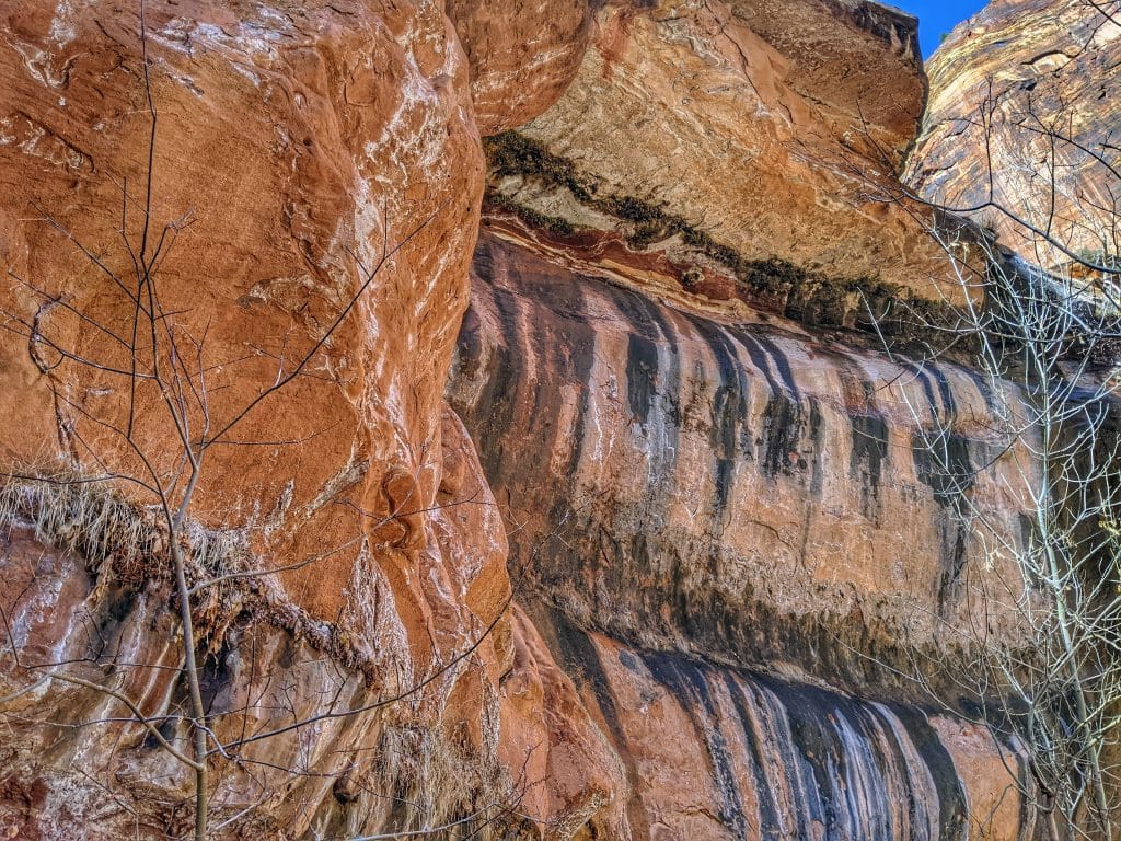 8 Best Tips For Hikes In Zion National Park Utah